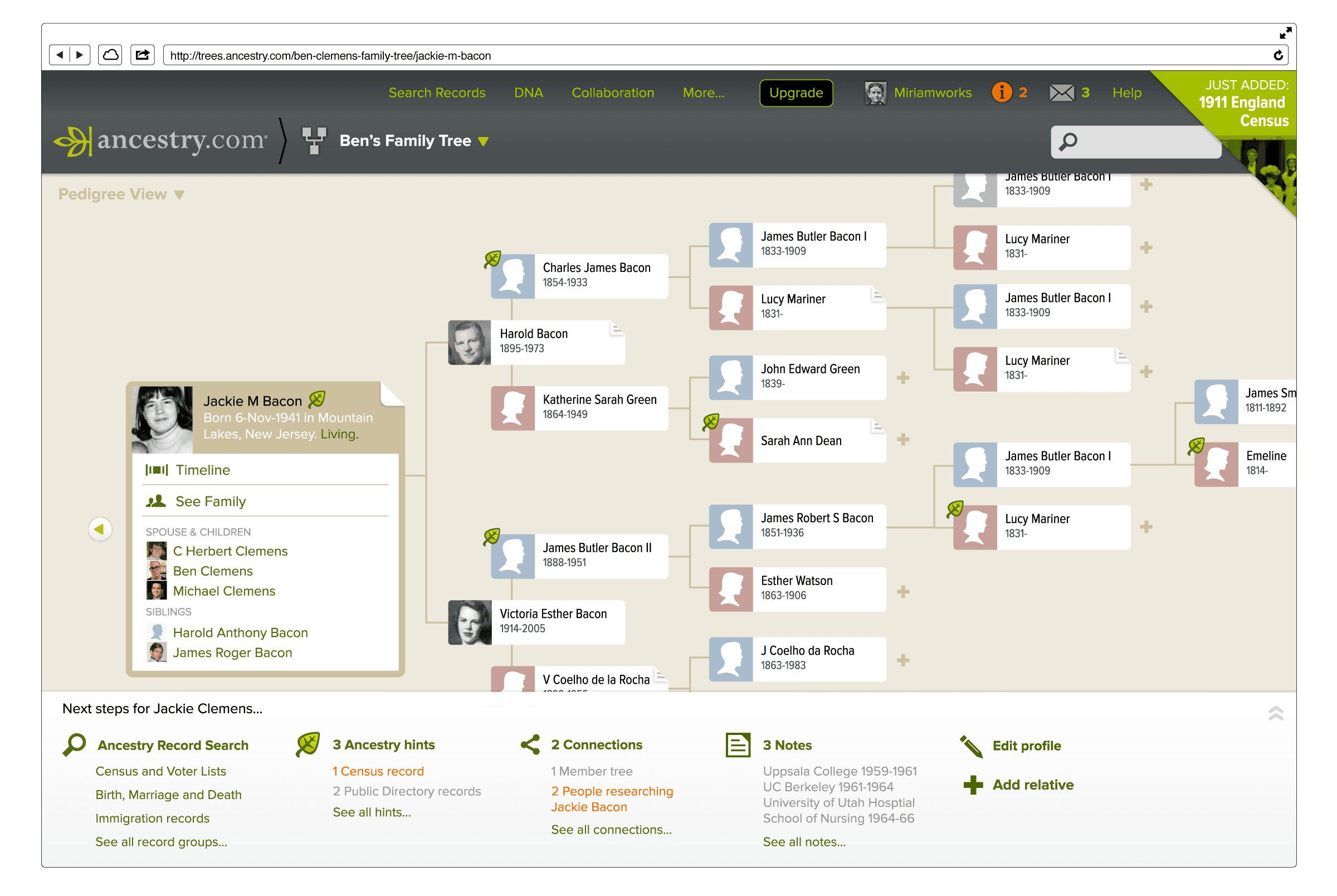 Ancestry redesign — search view